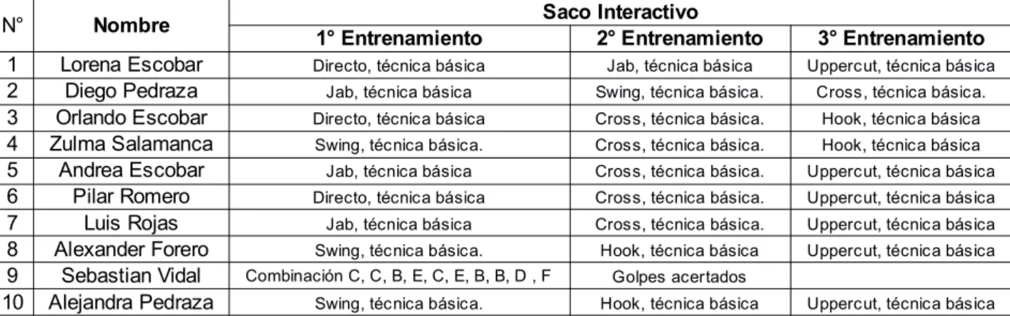 Tabla 3: Entrenamientos con saco interactivo. 