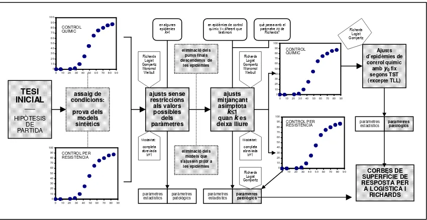 Figure 2. Synthetic chart describing the organisation of the epidemic modelisation process