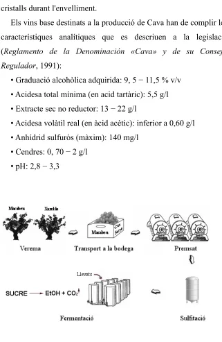 Figura II-1. Esquema de vinificació en blanc per a l’elaboració 