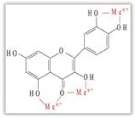 Figura 1.2.taminaci´o ambiental i l’envelliment trenquen l’equilibri entre la producci´o i l’eliminaci´o d’a-questes ROS donant lloc al que es coneix com a estr`es oxidatiuel radical hidroxil (OHROSsa, el catalasa o el glutati´o reductasa que permetenelimi