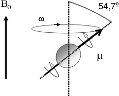 Figura 1.4 Moviment de precessió del vector µ al voltant de B0
