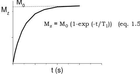 Figura 1.11  Relaxació exponencial de la component de la magnetització  