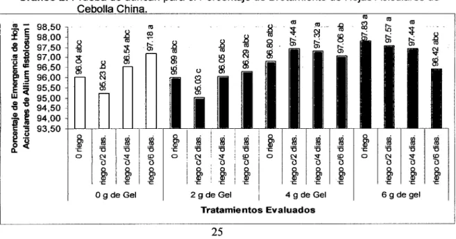 Gráfico 2:  Prueba de duncan para el Porcentaje de Brotamiento de Hojas Aciculares de  Cebolla China