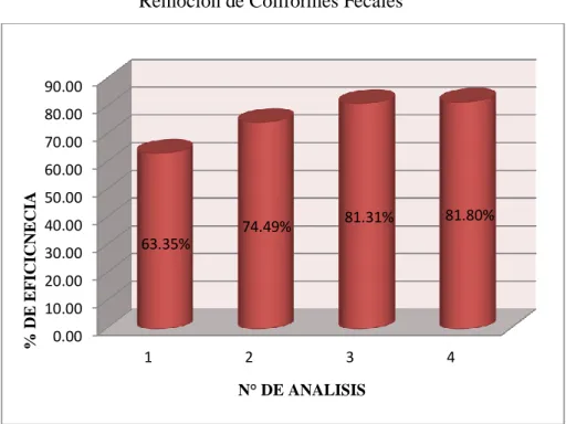 Gráfico N° 04 