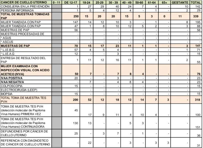 Cuadro  2:  Número  de  mujeres  con  Cáncer  de  Cuello  Uterino,  producidas por VPH, atendidas en el Centro de Salud Morales