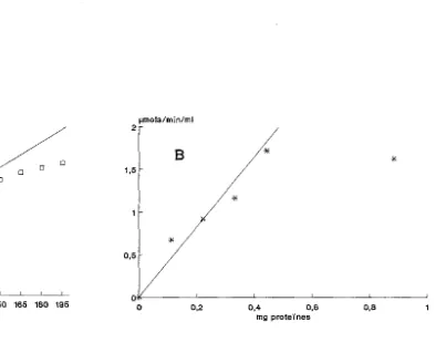 Fig.  16. Linealitat  de  la  reacció isomerasa  respecte  al