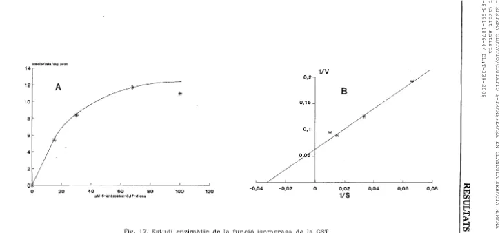 Fig.  17.concentració5­androsteno­3,17­diona;isomeritzatB: Estudi enzimàtic  de  la  funció  isomerasa  de  la GST.A:  Representació de  Michaelis—Menten  (nmols  de  producte  per  minut  i per  mg  de proteïna,  en  funció  de la  del  substrat  5 —androsteno­3,17 —diona). representació  de  Lin e we aver—Burk,  S=  concentració  de V=velocitat  en nmols/min/mg  prot.
