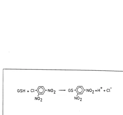 Fig. 3.­ Reacció  catalitzada per la GST entre GSH i CDNB (extret de la réf. 116).