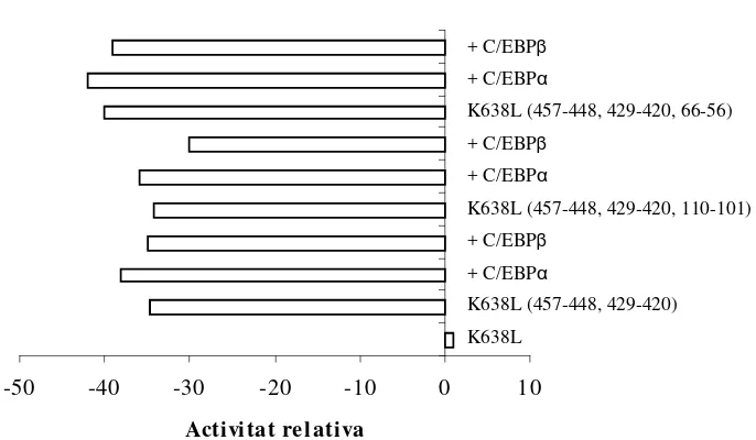 Fig.15. Assaig funcional de la mutació de quatre putatives seqüències C/EBP del promotor del gen 