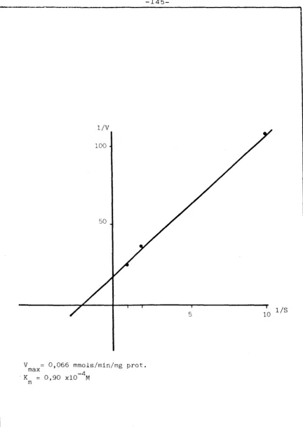 Fig. 18 - Representació de Lineweaver-Burk , de les da-des expressades a la Fig. 17B. 