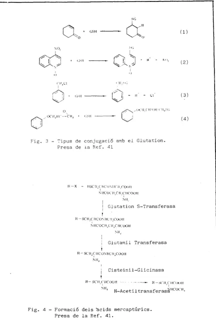 Fig. 3 - Tipus de conjugació amb ei Glutation. Presa de ia Ref. 41 