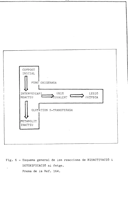 Fig. 6 - Esquema general de les reaccions de BIOACTIVACIO i 