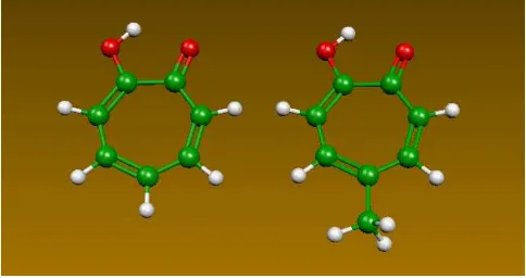 Figura 1.5: Mol`ecules de tropolona (esquerra) i 5-metiltropolona (dreta)