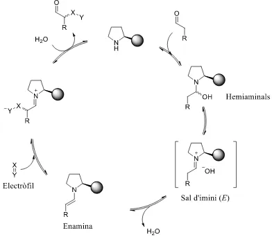 Fig 5. Cicle catalític de la reacció d’addició d’un aldehid sobre un electròfil catalitzada per una amina secundària quiral