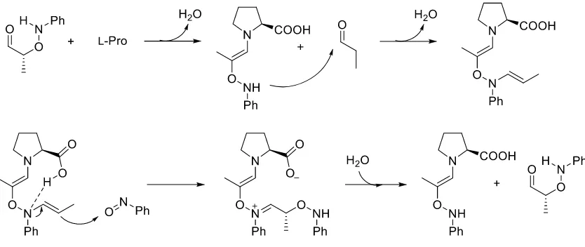 Fig 9. Equilibri oxazolidinona-enamina. 