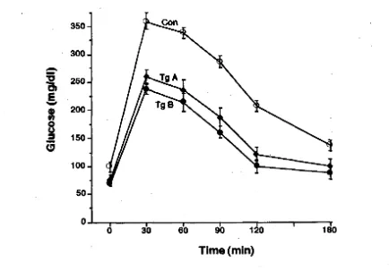 Figura 3.TgA Test de tolerància a la glucosa. Ratolins control (O, Con) i transgènics (+, i •, TgB) dejunats 24 h varen ser anestessiats i sotmesos a un test de tolerància a là