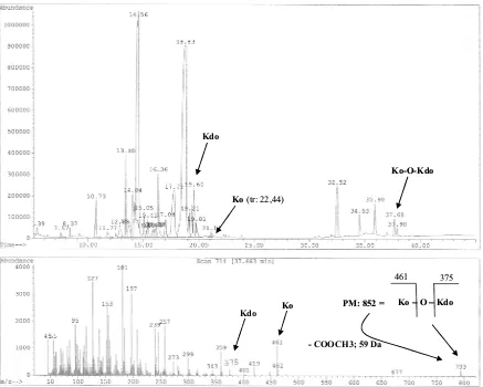 Figura 4.2. Cromatograma de GC-MS de la mostra de LPS de N28b metanolitzada i peracetilada i espectre de masses del pic tr 19,52 min corresponent al Kdo  