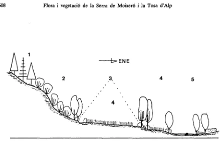 Fig.  4.14calalaunicaeFilipenduletum  ­ Vegetació  dels  fondais  de  la  baixa  vall  del  riu  d'Alp:  1,  Hylocomio­Pinetum  lalhyretosum  montani  (loc.  abietetosum);  2,  Brachypodio­Frœanetum;  3,  Ranúnculo­  ulmariae; 4, Rliinantho­Trisetetum;  5,  Scrophulario  alpestris­Alnetum.