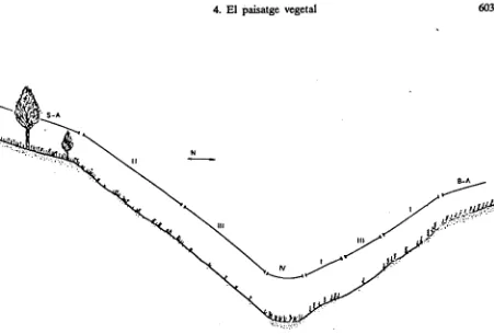 Fig.  4.8Seslerio­Apliyllanthetum;  ­  Transecte  ideal  d'un  badland  margós  (original  de  GUARDIA  &  NINOT,  inèd.).  S­A,  B­A,  Brachypodio­Aphyllanlhetum;  IV,  poblacions  de  Molinia  caerulea