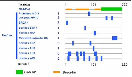 Figura 4. Localització a DOR de llocs putatius d’unió de diferents proteïnes o dominis preditspel programa ELM