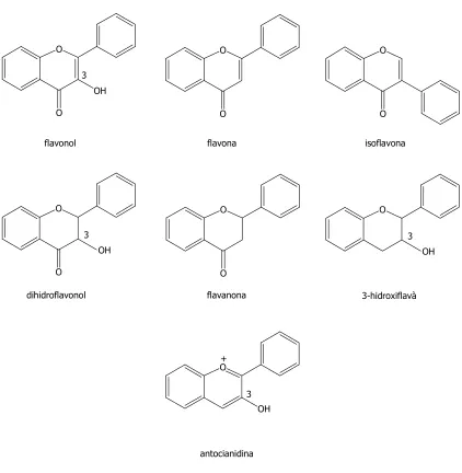 Figura 1.4.- Principals classes de flavonoides 