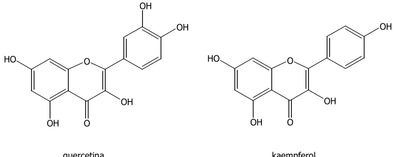 Figura 1.5.- Exemples de flavonoides de tipus flavonol 