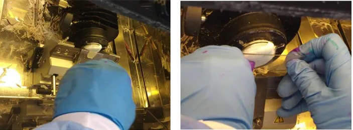 Fig. 10 Proceso de corte en el criostato: En la imagen se puede apreciar el proceso de corte  de  la  placa  de  Tissue-tek®  (izquierda)  y  como  este  se  adhiere  a  la  lámina  portaobjetos  (derecha)