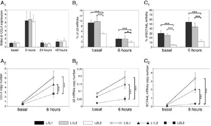 FIGURE 5.mRNA expression of CCL4 in CD8 T cells of L1L1, L1L2, and L2L2 individuals.�represented as the meanlevels are relative to the housekeeping gene (GAPDH), represented as an index (CCL4 mRNAs.of CCL4 (relative to the GAPDH) in stimulated (6 h) and no