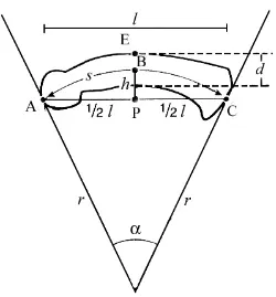 Figura 1. Punts de referència i distancies, referits a la falange, utilitzats en els mètodes 