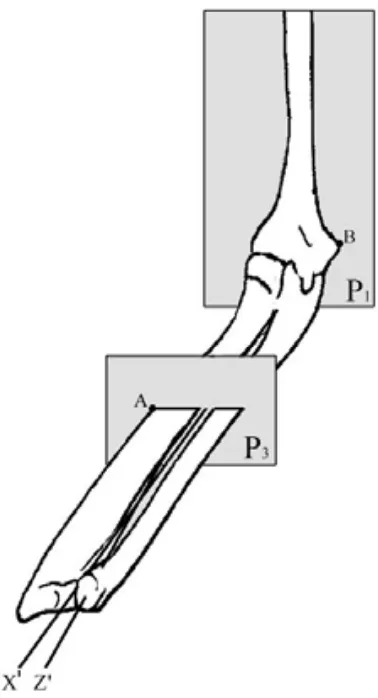Figura 13. Representació dels plans P1 i P3 amb el colze amb 90º de flexió. Pla P1: pla 