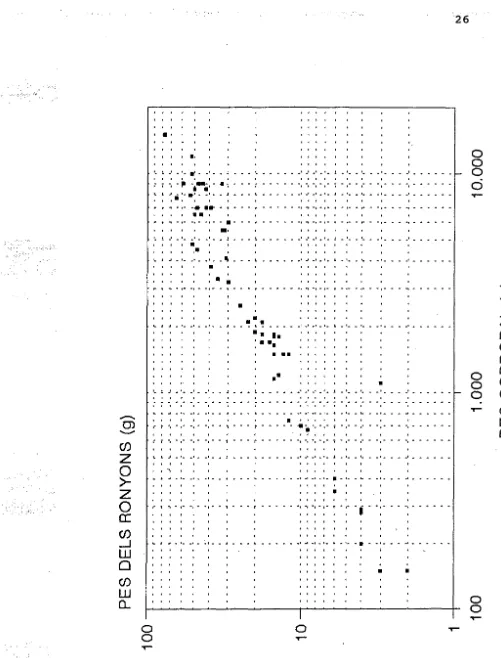 Figura 5 Canvi en el pes dels ronyons en relació al pescorporal gossos de raça Beagle (Andersen and Goldman, 1970)