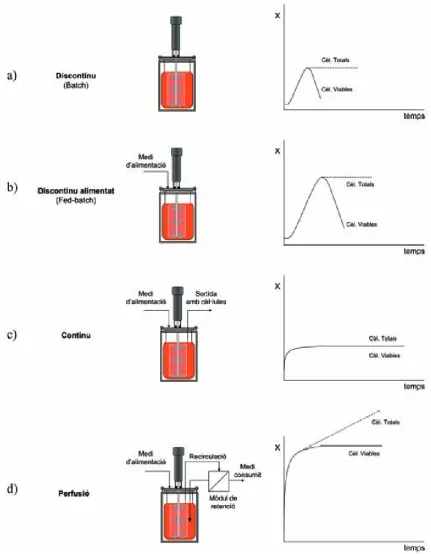 Fig. 3.- Comparació esquemàtica dels perfils típics de creixement de cèl·lules animals en bioreactors en funció de la forma en què es du a terme el cultiu