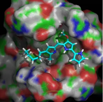 Figura 1. Representació del docking de la molècula de prodigiosina sobre la proteïna anti-apoptòtica BCL-XL*