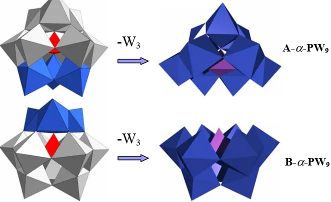 Figura 1.5. Representació polièdrica dels anions trivacants derivats més típics de l’anió de Keggin i de Wells-Dawson.