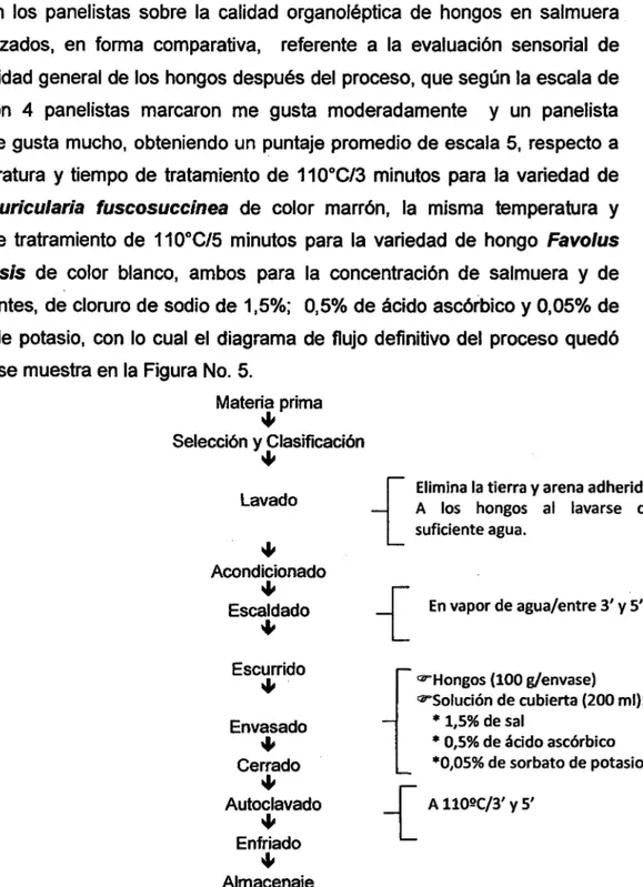 Figura  No.  05:  Diagrama de flujo  para  la  conservación  de hongos en  solución  de  salmuera acidificada 