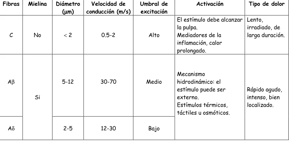 Cuadro 2.1: Características de las fibras nerviosas pulpares.  