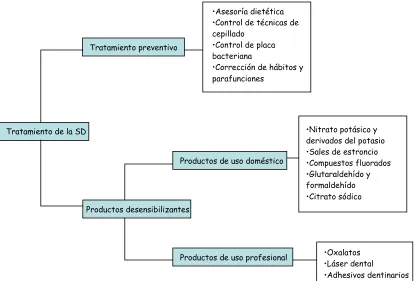 Cuadro 2.2: Clasificación de los tratamientos de la SD. 