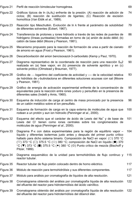 Figura 21 