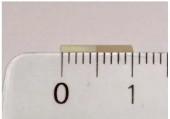 Fig 17. Representación esquemática  de las probetas en forma rectangular. 