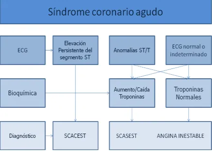 Figura 1. El espectro de los Síndromes Coronarios Agudos (Hamm y col., 2012). 