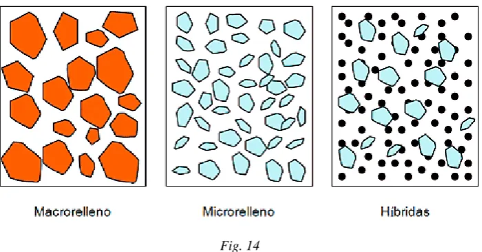 Fig. 14 