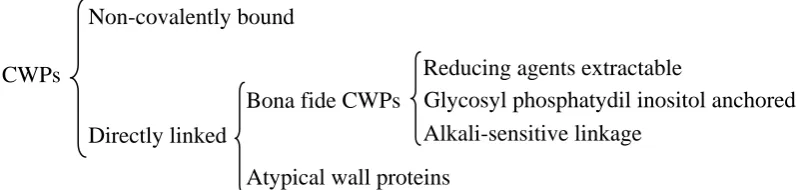 Figure I.7- Classification of cell wall proteins 