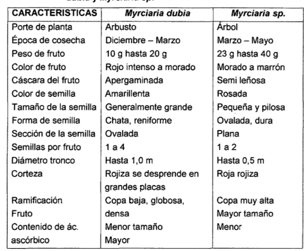Cuadro Nº01: Características diferenciales entre frutos de Myrciaria  dubia  y  Myrciaria sp