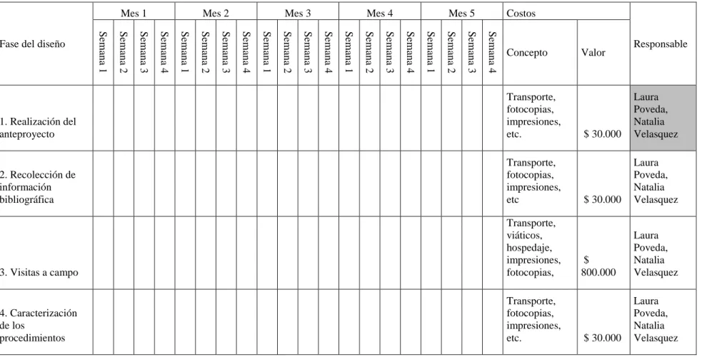 Tabla 3 Cronograma de actividades 