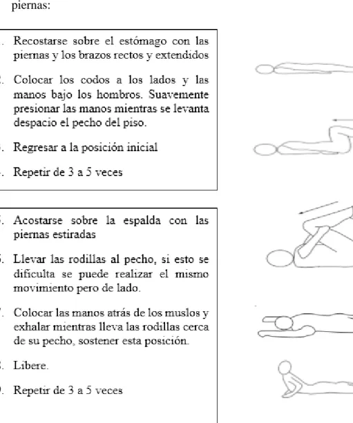 Figura 7 Ejercicios prevención lesiones de espalda 