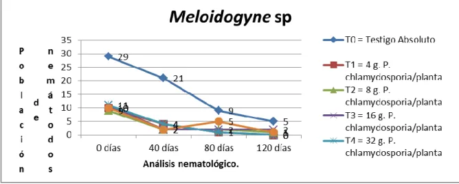 Figura 1.- Población de Meloidogyne sp en el suelo a 0, 40, 80 y 120 días después de la  siembra de Plukenetia volubilis con dos (02) aplicaciones de P