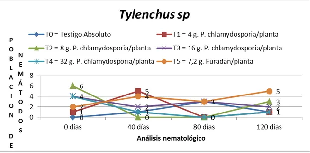 Figura 3.- Población de Tylenchus sp en el suelo a 0, 40, 80 y 120 días después de  la siembra de Plukenetia volubilis con dos (02) aplicaciones de P