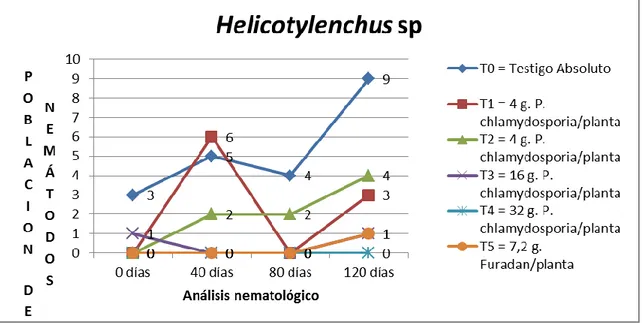 Figura  5.-  Población  de  Helicotylenchus  sp  en  el  suelo  a  0,  40,  80  y  120  días  después  de  la  siembra  de  Plukenetia  volubilis  con  dos  (02)  aplicaciones  de  P