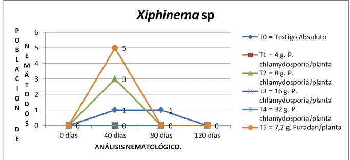 Figura 7.- Población de Xiphinema sp en el suelo a 0, 40, 80 y 120 días después de  la siembra de Plukenetia volubilis con dos (02) aplicaciones de P