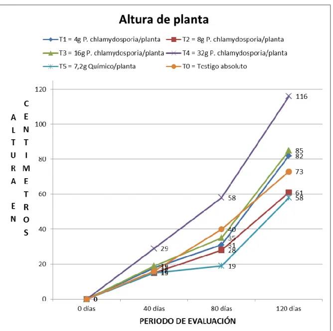 Figura 9.- Prueba de Duncan para el crecimiento de la planta, desde el momento de la  siembra hasta los 120 días
